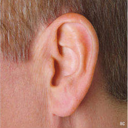 Restore Confidence in Communication Through a Leading Audiology Center Fort Worth