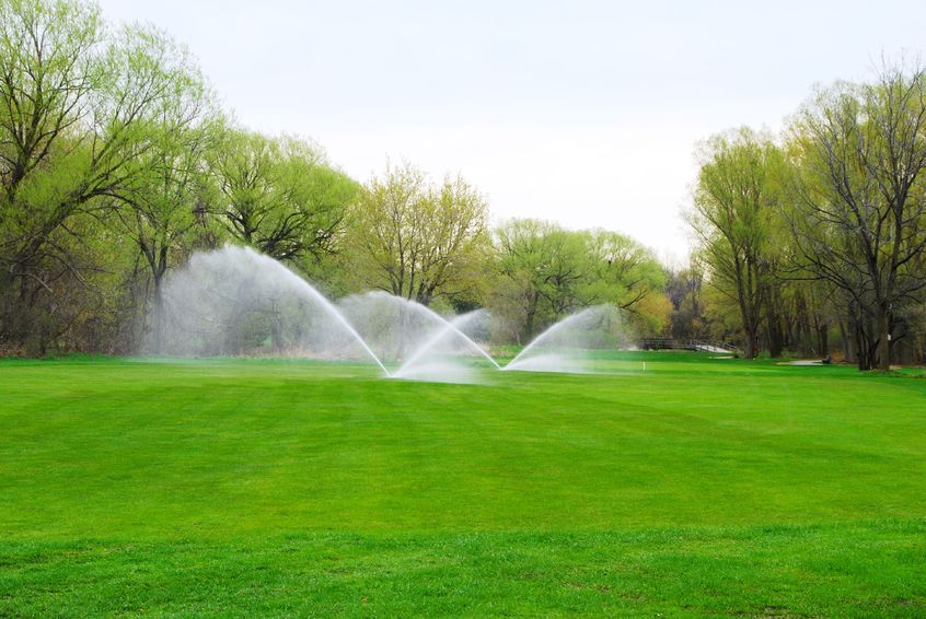 Tips to Help Choose an Excellent Sod Maintenance Service in Ashburn VA