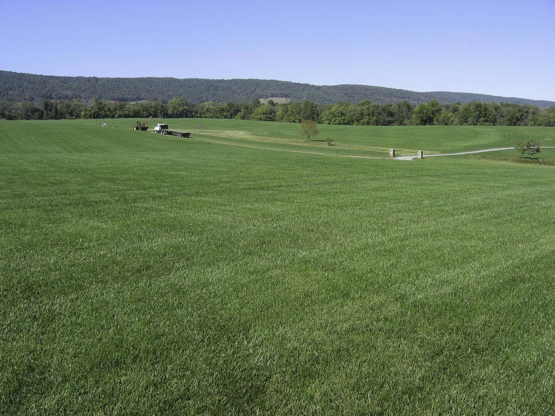 Benefits Of Hiring Lawn Installers In McLean VA