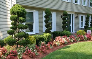 Trimming, Pruning, and Necessary Felling by a Tree Service in Spokane