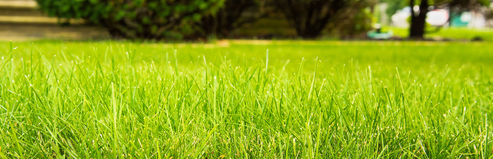 An Excellent Source for Sewage Cleanup in Apopka, FL