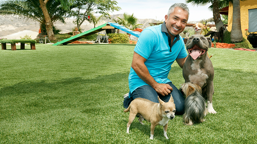 The Benefits of Artificial Turf Grass Installation in Orlando Fl
