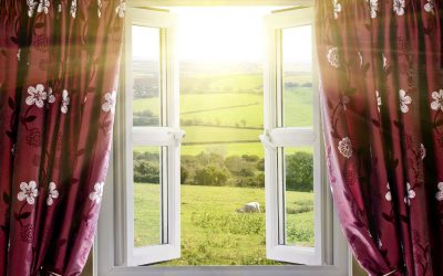 Durable Aluminum Blinds in Brandon, FL, Might Be Just What You Need for Your Home