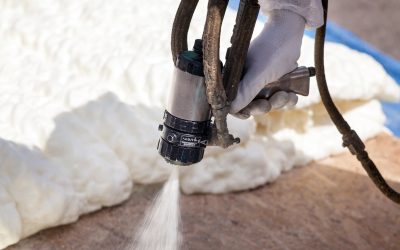 Partnering with Expert Mold Companies in Newnan, GA, for Effective Remediation